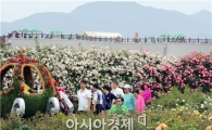 [포토]장미향기를 따라 