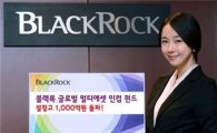블랙록, 멀티에셋 인컴펀드 설정액 1000억 돌파