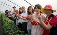 하나생명, 전직원 팀빌딩 연수 진행