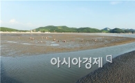 국토교통부, 고창 서해안  ‘갯벌 생태지구’ 조성