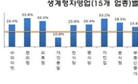 베이비부머, 생존율 낮은 '생계형 자영업' 늘어