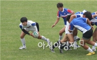 강진 럭비구장, 전국서 전지훈련 인기 최고
