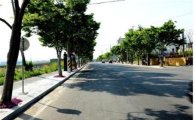 영암군, 삼호읍에 ‘녹색디자인 시범거리 조성’ 완료