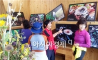 정남진 장흥 편백숲 우드랜드, 버섯사진전 인기몰이