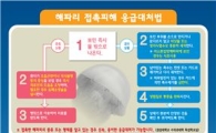 부안군, 해파리 피해 최소화 만전