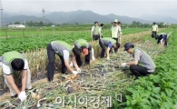 농어촌公 곡성지사, 농촌일손돕기 봉사활동