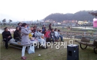 장흥군, 달구지 콘서트! 이런 문화도 있었네