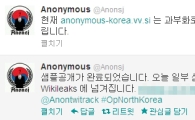 [6·25 해킹]남·북 해킹 공격, 어나니머스에 불똥?