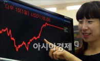 [포토]다우지수 상승