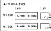 LTE 주파수 경매…"입찰가 최대한 올리다가 한번에 결론"  