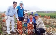 부안농민, 해풍양파로  농가소득 올려