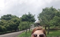 솔비 근황, 공원에서 여유를 즐기며 '여성스러운 매력 물씬~'