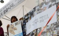 [포토]'아름다운 대한민국, 개를 먹지 않습니다'