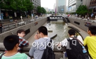 [포토]청계천 들어가지도 못 하고 