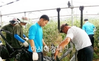 공군제1전투비행단, 동곡동 호우피해 농가 찾아 구슬땀