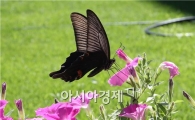 [포토]나비 점심먹는 중