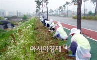 고창읍, 꽃이 있는 아름다운 시가지 조성