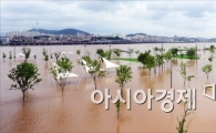 [포토]또 다시 흙탕물에 잠긴 반포 한강시민공원
