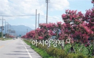남원시 금지면 배롱나무길‘눈길