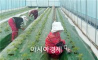 남원시, 출산 여성농업인 농가도우미 적극 지원