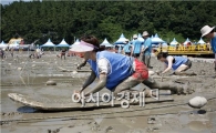 보성군, 갯벌에서 에코 힐링을....