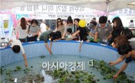 남원시, 허브&블랙푸드 페스티벌 개최