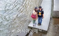 [포토]청계천 통제 해제에 관광객들 발길  