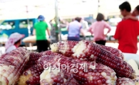 곡성군 삼기면민의 날과 흑찰옥수수 축제 성황