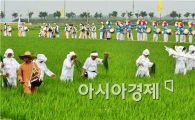 [포토]얼씨구 ~ 풍년이로세 