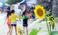 [포토]해바라기도 방긋 
