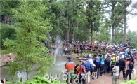 [포토]장흥 편백숲 누드에 쏠린 사진동호인들