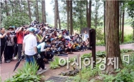 [포토]장흥 우드랜드 편백숲 누드  