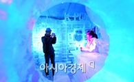 [포토]여름에 즐기는 아이스 갤러리