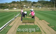 잔디 수도 장성군, 잔디 재배농가 관정시설 지원