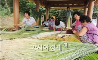 [포토]무더위 속 왕골껍질 벗기는 주민들
