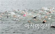 북극곰 수영축제, 2만명 몰려 '후끈'