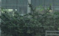 [날씨] 태풍 '풍웡' 영향…서울-경기 오늘 밤부터 강한 비