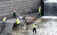 [포토]손님 맞을 준비하는 청계천
