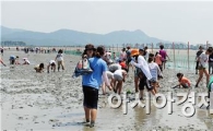 "생명이 열리는 고창 갯벌체험 축제로 오세요"