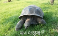 [순천정원박람회]'육지 거북이' 멋진 이름  찾아요