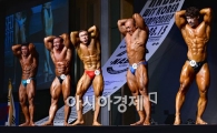 [포토]NABBA MAN 4체급