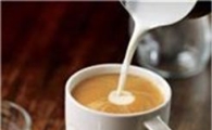 "하루 넉잔 이상 커피 요절 위험 높다" 