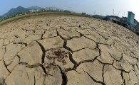 제주 최악의 가뭄, 90년만에 '바짝'