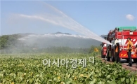 [포토]소방차로 물 뿌려주는 밭작물