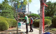 [포토]폭염 속 나무에 물주머니 설치 