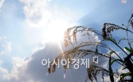 [포토]무르익어 가는 가을