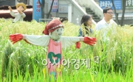 [포토]처서를 사흘 앞두고 