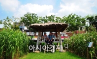 [포토]뜨거운 가을볕 피해서 