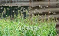 [포토]도망가자 