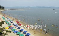 보성군 율포솔밭해변·해수풀장, 여름 특수 '톡톡'
